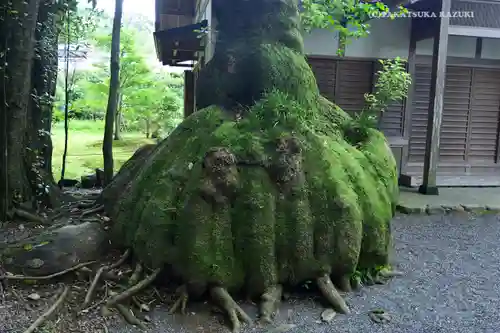 伊雜宮（皇大神宮別宮）の建物その他