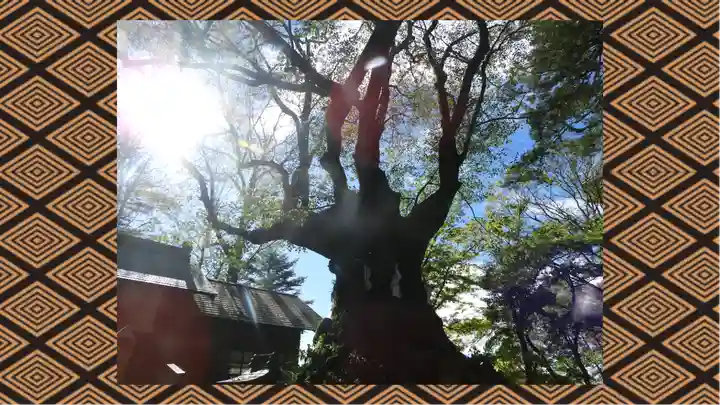 熊野皇大神社(長野県)