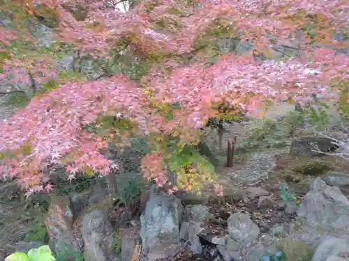 常昌院(神奈川県)