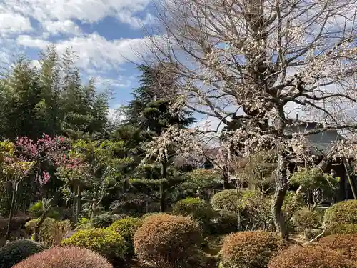 大光院(神奈川県)