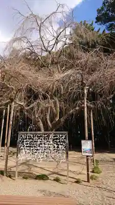 常陸第三宮 吉田神社のその他建物