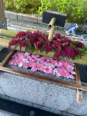 白山神社(新潟県)