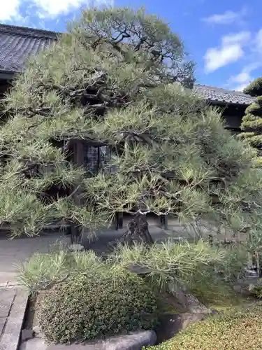 弘誓寺（西ノ京）(京都府)