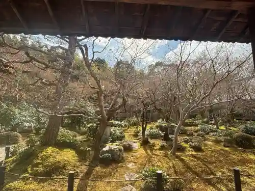 圓光寺の{uncategorized: "未分類", other: "その他", undefined: "問題あり", building: "その他建物", grave: "お墓", sacred_gate: "鳥居", guardian: "狛犬", statue: "像", buddha: "仏像", history: "歴史", nature: "自然", garden: "庭園", animal: "動物", pagoda: "塔", temizu: "手水舎", mountain_gate: "山門・神門", sanctuary: "本殿・本堂", subordinate: "末社・摂社", art: "芸術", scenery: "景色", jizo: "地蔵", ema: "絵馬", goshuin: "御朱印", omikuji: "おみくじ", items: "授与品その他", amulet: "お守り", goshuincho: "御朱印帳", eats: "食事", festival: "お祭り", votive_dance: "神楽", shichigosan: "七五三参", wedding: "結婚式", experience: "体験その他", initially: "初詣", around: "周辺", anti_infection: "感染症対策"}