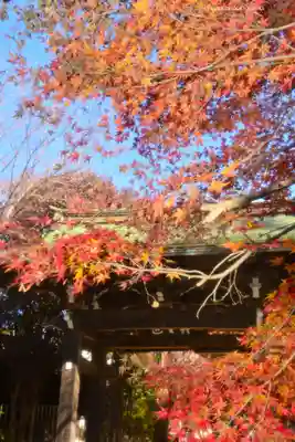 本土寺(千葉県)