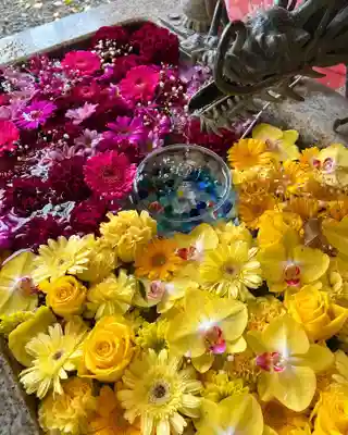 札幌諏訪神社の手水舎