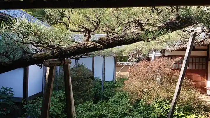 東林院(京都府)