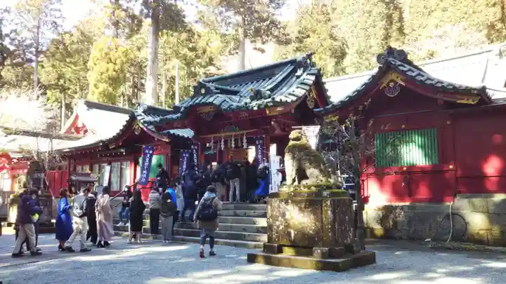 箱根神社の本殿・本堂
