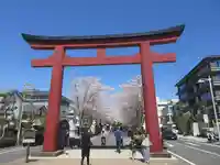 鶴岡八幡宮(神奈川県)