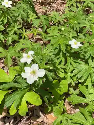 光照寺(愛知県)