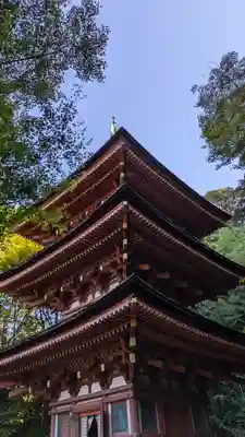 浄瑠璃寺(京都府)