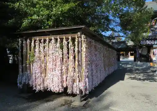 寒川神社のおみくじ