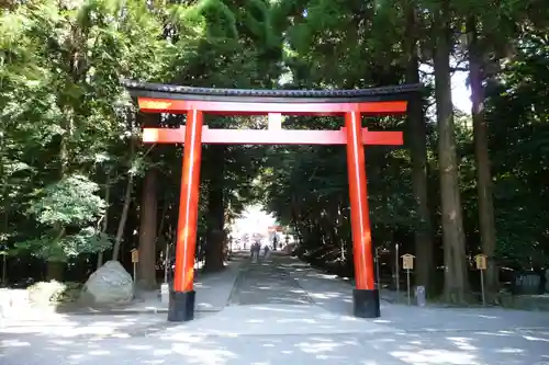 霧島神宮(鹿児島県)