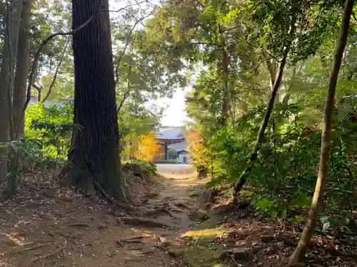 鹿島神宮の自然
