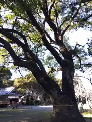 曽許乃御立神社(静岡県)