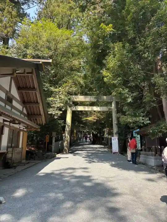 椿大神社の{uncategorized: "未分類", other: "その他", undefined: "問題あり", building: "その他建物", grave: "お墓", sacred_gate: "鳥居", guardian: "狛犬", statue: "像", buddha: "仏像", history: "歴史", nature: "自然", garden: "庭園", animal: "動物", pagoda: "塔", temizu: "手水舎", mountain_gate: "山門・神門", sanctuary: "本殿・本堂", subordinate: "末社・摂社", art: "芸術", scenery: "景色", jizo: "地蔵", ema: "絵馬", goshuin: "御朱印", omikuji: "おみくじ", items: "授与品その他", amulet: "お守り", goshuincho: "御朱印帳", eats: "食事", festival: "お祭り", votive_dance: "神楽", shichigosan: "七五三参", wedding: "結婚式", experience: "体験その他", initially: "初詣", around: "周辺", anti_infection: "感染症対策"}