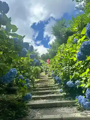 鷲子山上神社(栃木県)