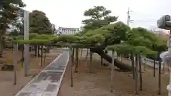 福徳寺の建物その他