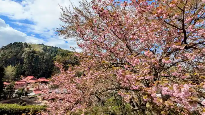 金蛇水神社(宮城県)