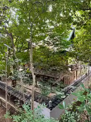 新熊野神社(京都府)