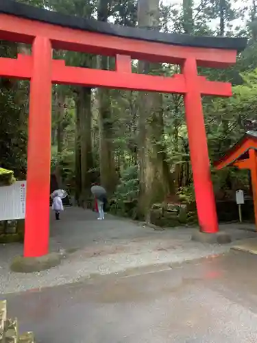 箱根神社の鳥居