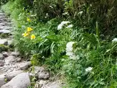 月山神社本宮の自然