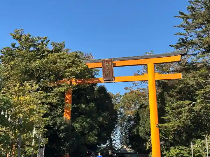 川越氷川神社(埼玉県)
