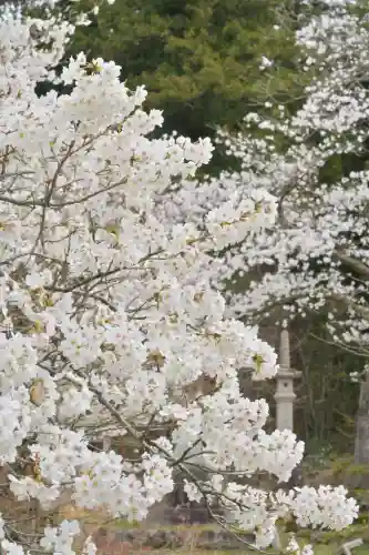 蒼柴神社(新潟県)