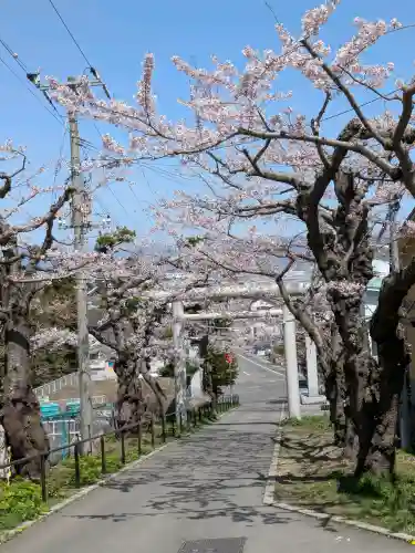 住三吉神社の{uncategorized: "未分類", other: "その他", undefined: "問題あり", building: "その他建物", grave: "お墓", sacred_gate: "鳥居", guardian: "狛犬", statue: "像", buddha: "仏像", history: "歴史", nature: "自然", garden: "庭園", animal: "動物", pagoda: "塔", temizu: "手水舎", mountain_gate: "山門・神門", sanctuary: "本殿・本堂", subordinate: "末社・摂社", art: "芸術", scenery: "景色", jizo: "地蔵", ema: "絵馬", goshuin: "御朱印", omikuji: "おみくじ", items: "授与品その他", amulet: "お守り", goshuincho: "御朱印帳", eats: "食事", festival: "お祭り", votive_dance: "神楽", shichigosan: "七五三参", wedding: "結婚式", experience: "体験その他", initially: "初詣", around: "周辺", anti_infection: "感染症対策"}