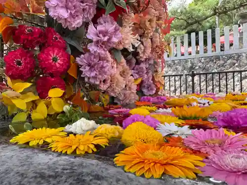 金蛇水神社(宮城県)