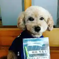 聖光寺(福岡県)