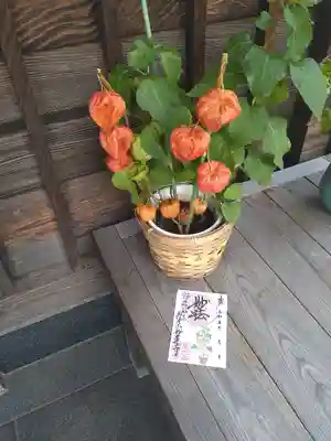 妙蓮寺(神奈川県)