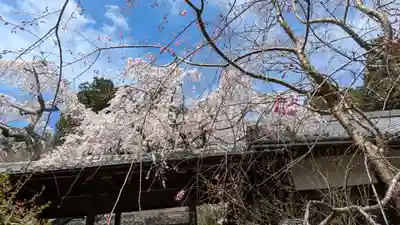 十輪寺(京都府)