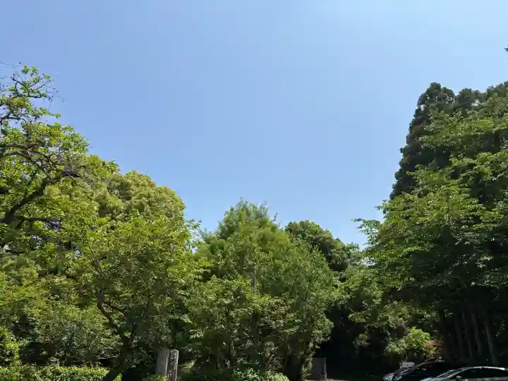 常陸國總社宮の{uncategorized: "未分類", other: "その他", undefined: "問題あり", building: "その他建物", grave: "お墓", sacred_gate: "鳥居", guardian: "狛犬", statue: "像", buddha: "仏像", history: "歴史", nature: "自然", garden: "庭園", animal: "動物", pagoda: "塔", temizu: "手水舎", mountain_gate: "山門・神門", sanctuary: "本殿・本堂", subordinate: "末社・摂社", art: "芸術", scenery: "景色", jizo: "地蔵", ema: "絵馬", goshuin: "御朱印", omikuji: "おみくじ", items: "授与品その他", amulet: "お守り", goshuincho: "御朱印帳", eats: "食事", festival: "お祭り", votive_dance: "神楽", shichigosan: "七五三参", wedding: "結婚式", experience: "体験その他", initially: "初詣", around: "周辺", anti_infection: "感染症対策"}