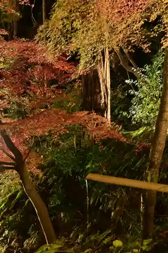 善水寺(滋賀県)