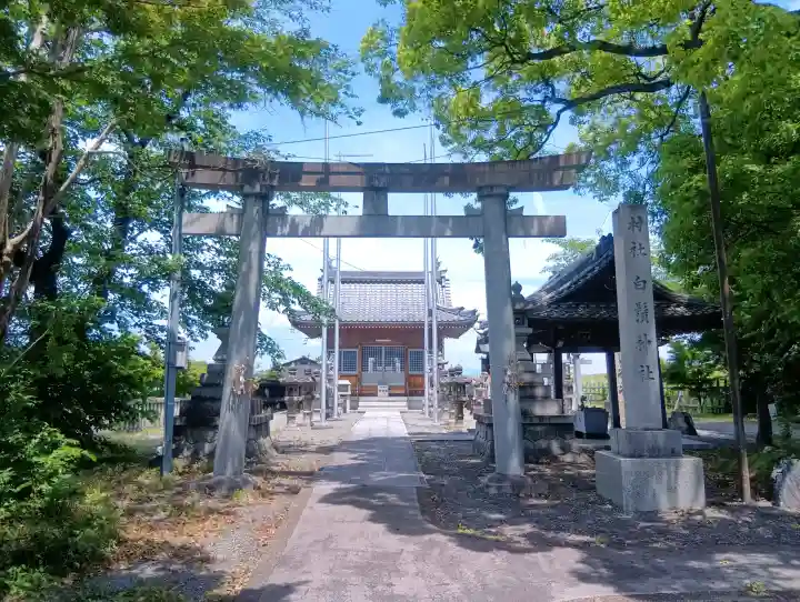 白髭神社の{uncategorized: "未分類", other: "その他", undefined: "問題あり", building: "その他建物", grave: "お墓", sacred_gate: "鳥居", guardian: "狛犬", statue: "像", buddha: "仏像", history: "歴史", nature: "自然", garden: "庭園", animal: "動物", pagoda: "塔", temizu: "手水舎", mountain_gate: "山門・神門", sanctuary: "本殿・本堂", subordinate: "末社・摂社", art: "芸術", scenery: "景色", jizo: "地蔵", ema: "絵馬", goshuin: "御朱印", omikuji: "おみくじ", items: "授与品その他", amulet: "お守り", goshuincho: "御朱印帳", eats: "食事", festival: "お祭り", votive_dance: "神楽", shichigosan: "七五三参", wedding: "結婚式", experience: "体験その他", initially: "初詣", around: "周辺", anti_infection: "感染症対策"}
