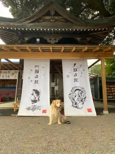 大前神社の動物