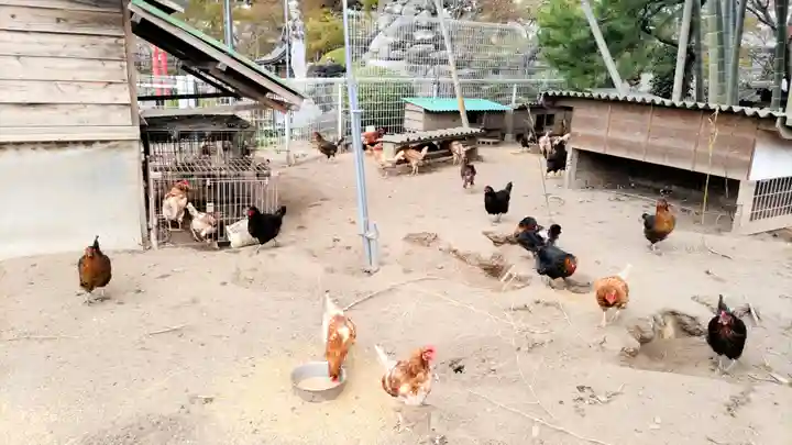 長安寺(群馬県)