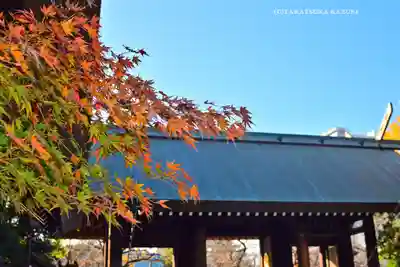 靖國神社(東京都)