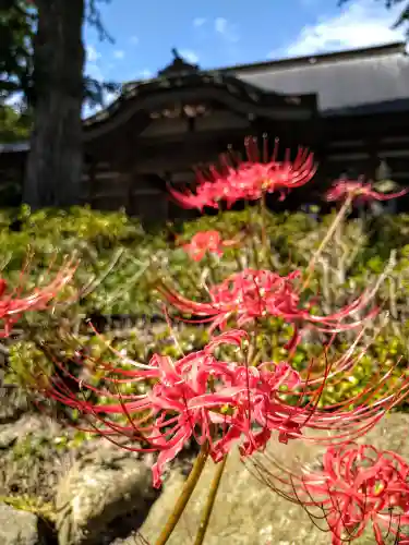 如意輪山 願成寺(宮城県)