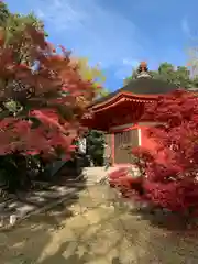 東福禅寺（東福寺）(京都府)