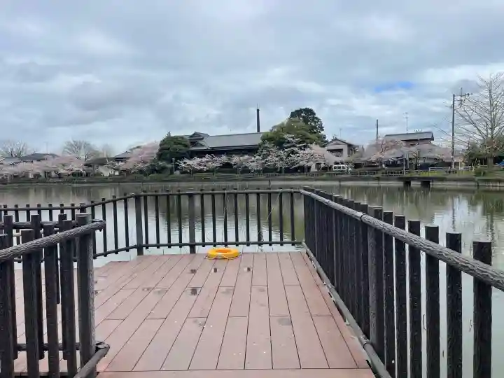厳島神社 谷弁財天の{uncategorized: "未分類", other: "その他", undefined: "問題あり", building: "その他建物", grave: "お墓", sacred_gate: "鳥居", guardian: "狛犬", statue: "像", buddha: "仏像", history: "歴史", nature: "自然", garden: "庭園", animal: "動物", pagoda: "塔", temizu: "手水舎", mountain_gate: "山門・神門", sanctuary: "本殿・本堂", subordinate: "末社・摂社", art: "芸術", scenery: "景色", jizo: "地蔵", ema: "絵馬", goshuin: "御朱印", omikuji: "おみくじ", items: "授与品その他", amulet: "お守り", goshuincho: "御朱印帳", eats: "食事", festival: "お祭り", votive_dance: "神楽", shichigosan: "七五三参", wedding: "結婚式", experience: "体験その他", initially: "初詣", around: "周辺", anti_infection: "感染症対策"}
