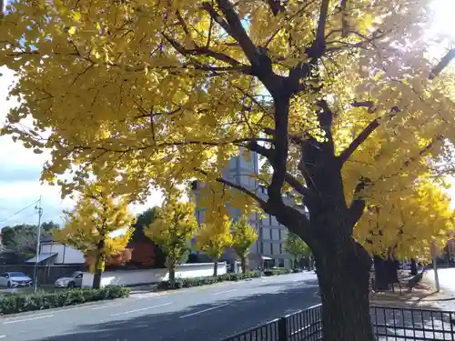 慈受院門跡(京都府)