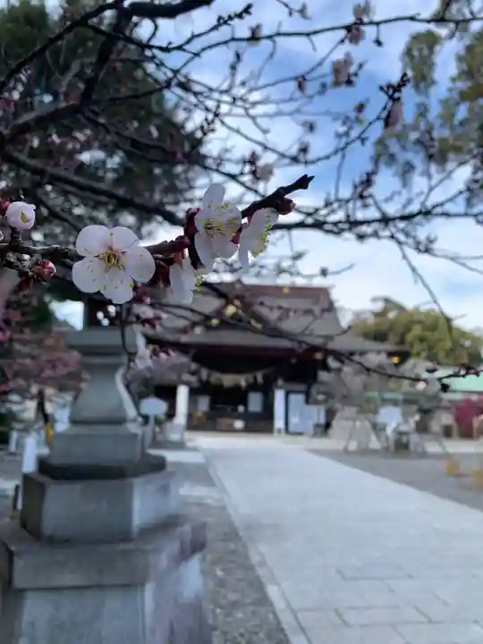 矢奈比賣神社(見付天神)(静岡県)