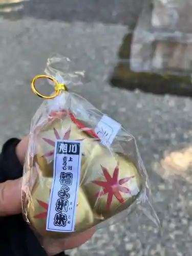 旭川神社のおみくじ