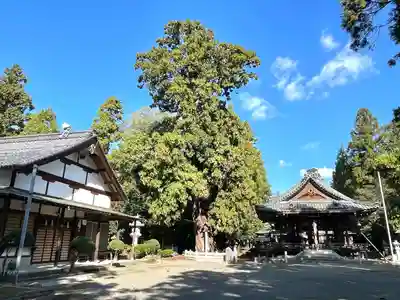 大隴神社(滋賀県)