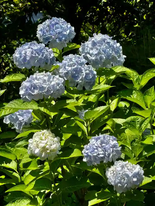 天球院(京都府)