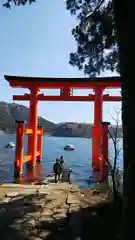 箱根神社の鳥居