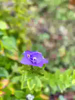 高榮寺(長野県)