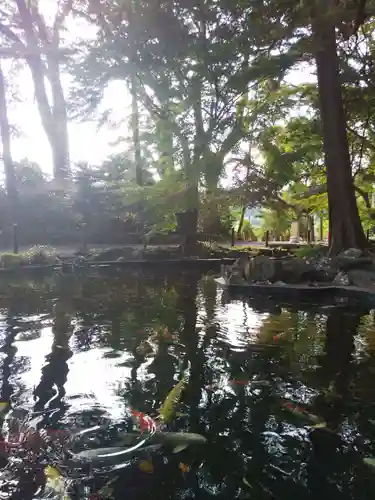 伊豆山神社の庭園